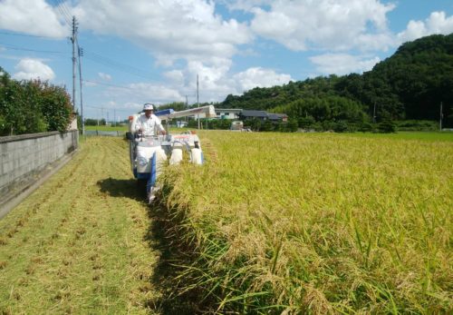 お客様の喜びの声
